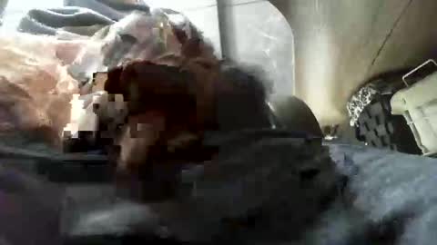 Snapshot of beninoam75 chatting on January 9, 2026, 7:33 am beninoam75 online show from January 9, 2026, 7:33 am