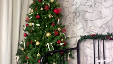 Beth and Derek online show from December 28, 2024, 11:52 am