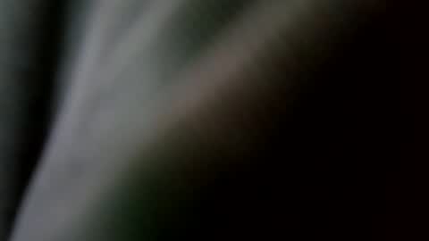 Snapshot of betohola chatting on February 20, 2025, 9:09 pm Betco online show from February 20, 2025, 9:09 pm