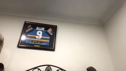 bibttm496571 online show from September 23, 2025, 7:11 am