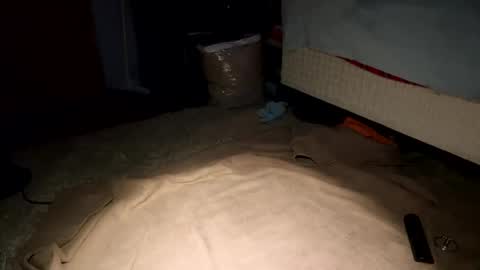 Snapshot of bicdboiii chatting on February 9, 2025, 9:47 am BiCDboiiii online show from February 9, 2025, 9:47 am