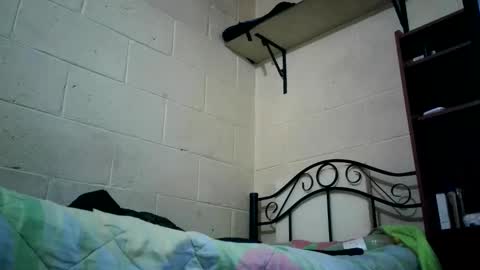 Snapshot of bichopeludo chatting on October 6, 2025, 12:08 am bichopeludo online show from October 6, 2025, 12:08 am