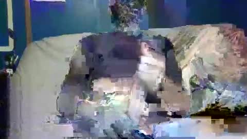 big9inchsnake online show from December 9, 2024, 10:20 pm