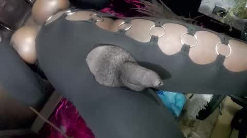 Snapshot of big_trans chatting on January 14, 2026, 5:18 pm big_trans online show from January 14, 2026, 5:18 pm