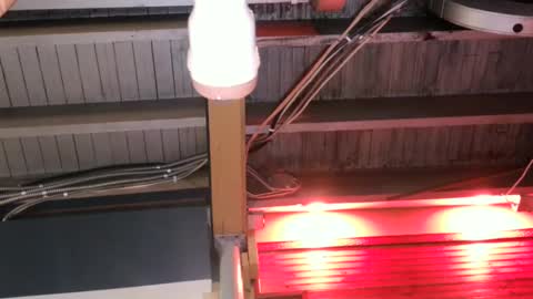 Straight Dave online show from October 9, 2025, 10:08 pm