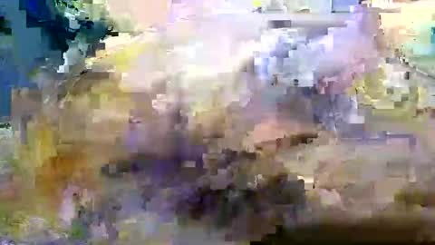 Snapshot of bigboybigbutt69 chatting on November 8, 2025, 12:05 pm bigboybigbutt69 online show from November 8, 2025, 12:05 pm