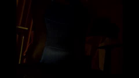 Snapshot of bigbro0007 chatting on November 25, 2025, 7:03 pm bigbro0007 online show from November 25, 2025, 7:03 pm