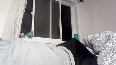 Snapshot of bigcumcanada chatting on December 18, 2024, 2:42 am bg online show from December 18, 2024, 2:42 am