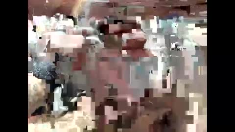 BigDaddykodack online show from September 15, 2025, 6:41 pm