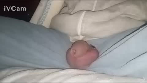 Big online show from February 2, 2025, 4:05 am