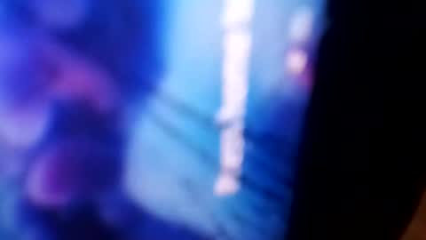 Rooster P online show from December 4, 2024, 11:08 am