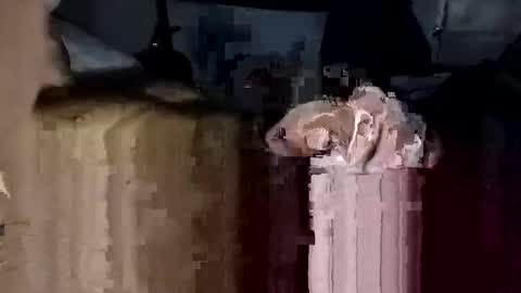 Snapshot of bigdickdaddy7201979564868 chatting on November 23, 2025, 2:17 pm bigdickdaddy7201979564868 online show from November 23, 2025, 2:17 pm