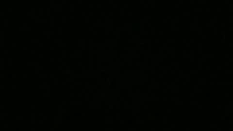 bigdickfitdude34 online show from September 14, 2025, 12:54 am