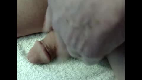 Snapshot of bigdipper58 chatting on February 23, 2025, 5:18 pm bigdipper58 online show from February 23, 2025, 5:18 pm