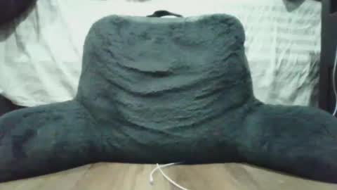 Snapshot of bigdyllpickle chatting on January 8, 2026, 2:47 am bigdyllpickle online show from January 8, 2026, 2:47 am