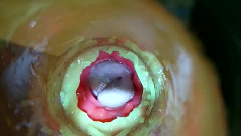 bigmoneycorey online show from March 14, 2026, 7:30 pm