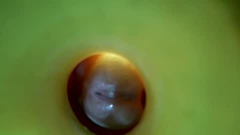 Snapshot of bigmoneycorey chatting on March 16, 2026, 6:56 pm bigmoneycorey online show from March 16, 2026, 6:56 pm