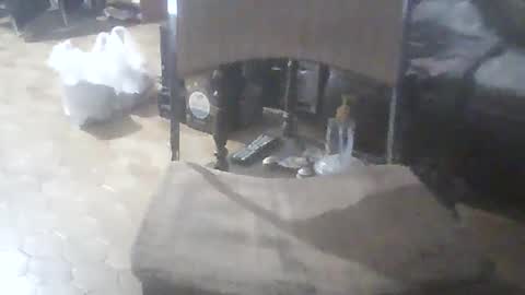 bigpenix online show from February 7, 2026, 11:52 pm