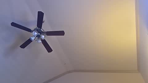 Snapshot of bigswoletroll chatting on March 12, 2026, 7:31 pm bigswoletroll online show from March 12, 2026, 7:31 pm