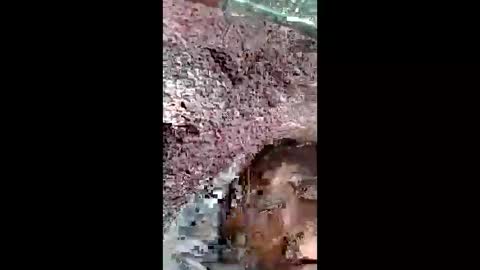 bigwalkdog420 online show from December 25, 2024, 2:56 pm