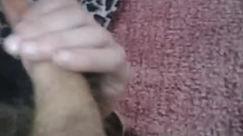 bigwalkdog420 online show from January 26, 2025, 6:58 pm