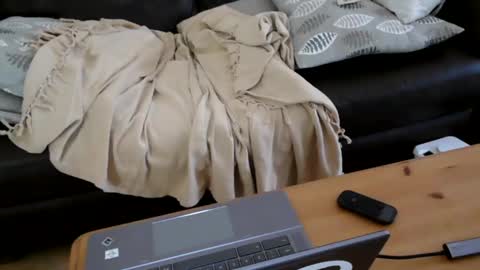 Snapshot of bindmedown chatting on January 17, 2025, 10:55 am bindmedown online show from January 17, 2025, 10:55 am