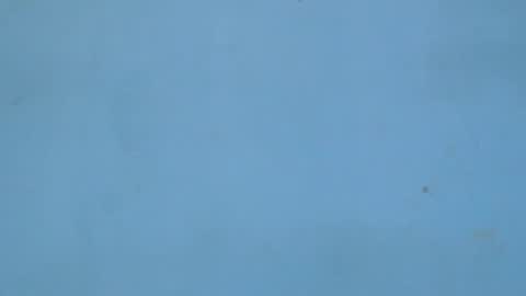 birdiexxslut online show from November 18, 2025, 9:08 pm