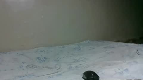 bitchcam_ online show from November 28, 2025, 9:06 pm