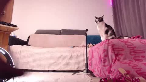 BitE ThE TreaT online show from February 15, 2025, 2:04 am