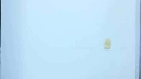 Snapshot of black_treassure chatting on February 12, 2026, 5:35 am black_treassure online show from February 12, 2026, 5:35 am