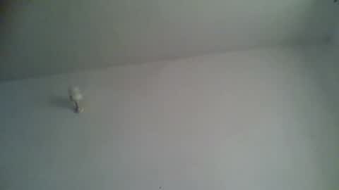 Snapshot of blackafrica2023 chatting on November 15, 2025, 5:27 am black african online show from November 15, 2025, 5:27 am