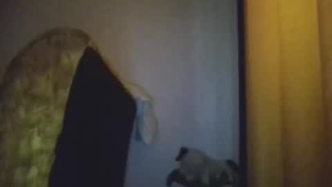 Snapshot of blackafrica2023 chatting on November 20, 2025, 5:29 am black african online show from November 20, 2025, 5:29 am