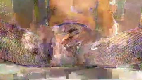 Snapshot of blackbigdickfr chatting on December 20, 2025, 12:34 pm blackbigdickfr online show from December 20, 2025, 12:34 pm