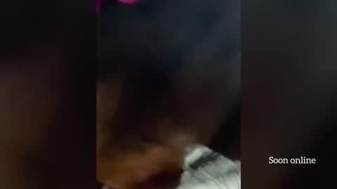 Snapshot of blackdominion chatting on December 3, 2025, 3:58 am Lilly and Bryson online show from December 3, 2025, 3:58 am