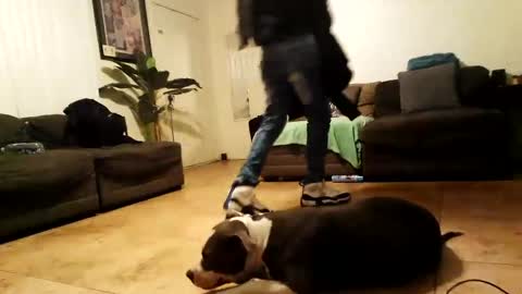 Snapshot of blackriches96 chatting on February 15, 2025, 10:00 am blackriches96 online show from February 15, 2025, 10:00 am