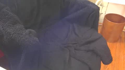 Snapshot of blackuncut55 chatting on February 18, 2025, 6:47 pm Aqua online show from February 18, 2025, 6:47 pm