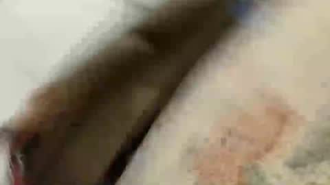 BlakeAndSkylar online show from May 22, 2026, 8:21 am