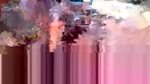 bleez75 online show from February 28, 2026, 1:50 am