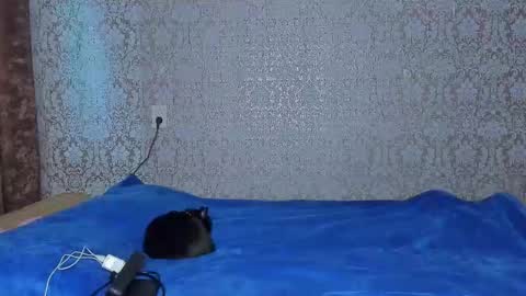 bloemetjes online show from October 16, 2025, 10:00 pm