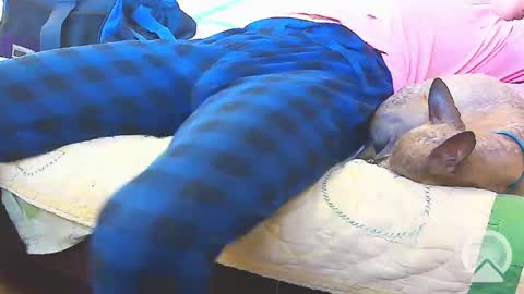 Snapshot of blondieblu89 chatting on February 13, 2025, 10:00 pm First Time College Boy online show from February 13, 2025, 10:00 pm