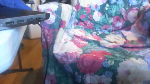 Snapshot of blowfish33890 chatting on March 11, 2025, 10:09 pm blowfish33890 online show from March 11, 2025, 10:09 pm