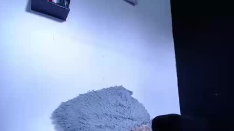 bunbury online show from September 23, 2025, 1:47 pm