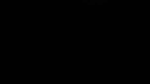 bunbury online show from October 13, 2025, 10:32 pm