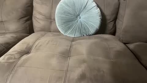 bluegreenish online show from October 27, 2025, 11:41 pm