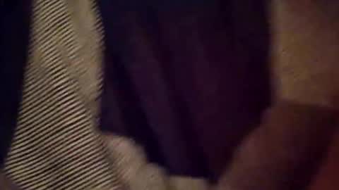 blue russian online show from December 16, 2025, 7:57 am