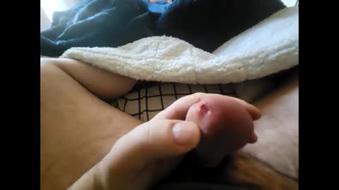 bmc2061 online show from February 26, 2025, 8:22 pm