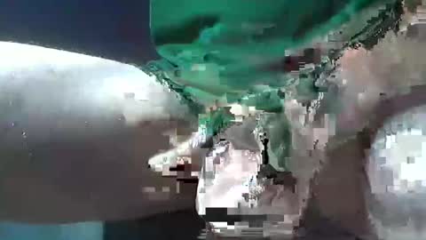 bogey58 online show from December 8, 2024, 2:09 pm