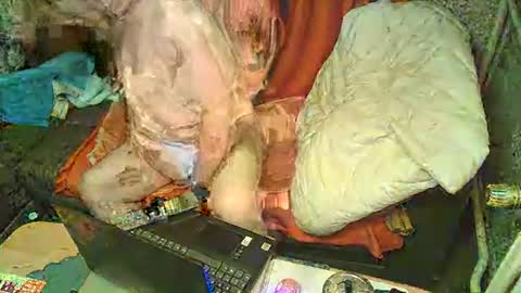 Snapshot of bomber59potsdam chatting on January 6, 2025, 9:32 pm Bomber59potsdam online show from January 6, 2025, 9:32 pm