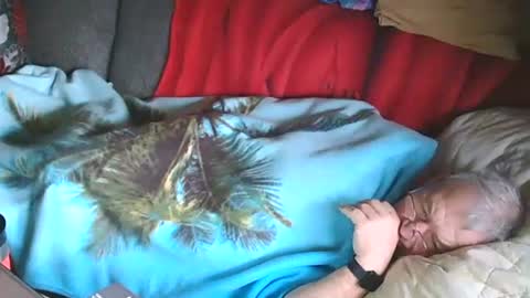 Snapshot of bomber59potsdam chatting on January 28, 2025, 10:02 am Bomber59potsdam online show from January 28, 2025, 10:02 am