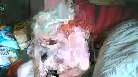 Snapshot of bomber59potsdam chatting on March 2, 2025, 10:35 am Bomber59potsdam online show from March 2, 2025, 10:35 am